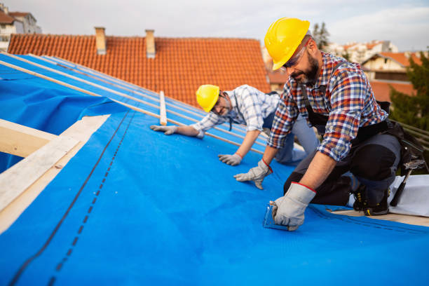 Roof Gutter Cleaning in Liberty Triangle, FL