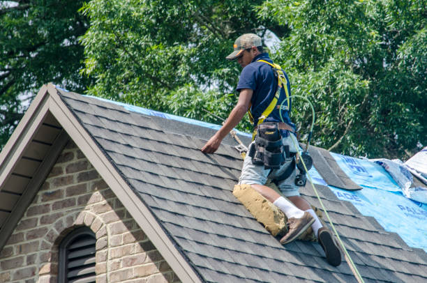 Best Local Roofing Companies  in Liberty Triangle, FL